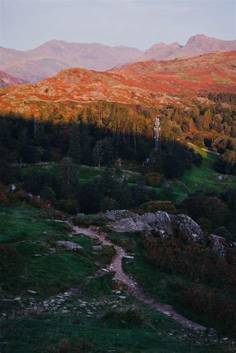 The Langdale Pikes catching the sunrise light as we make our way up Loughrigg Fell: Lake ...