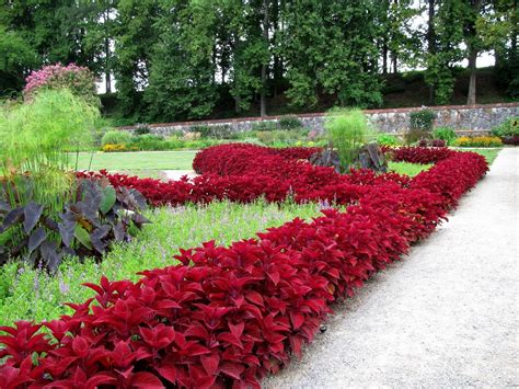 Pequenos jardins tropicais, Jardins pequenos, Jardinagem e paisagismo