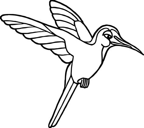 Rainforest Birds Coloring Pages at GetColorings.com | Free printable colorings pages to print ...