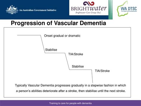 PPT - Vascular Dementia PowerPoint Presentation, free download - ID:3120510