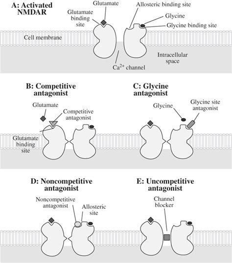 Nmda Antagonist How It Works