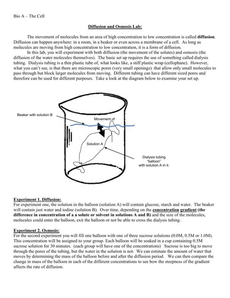 Diffusion and Osmosis Lab 2014