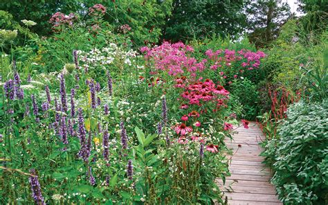 Designing a Stylish Pollinator Garden - Fine Gardening