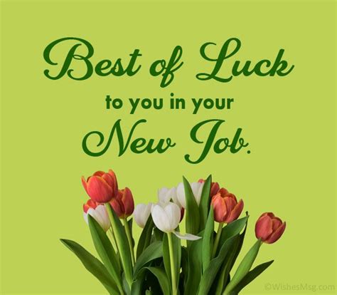 130+ Best Wishes for New Job - Congratulations Messages | WishesMsg ...