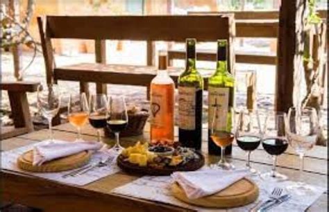 Express tasting of uruguayan wines and cheese | GetYourGuide