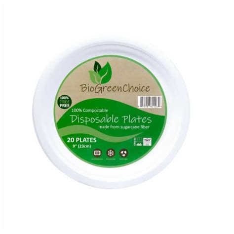 9" Eco-Friendly Disposable Plate (240 Count), 240 - Pick ‘n Save