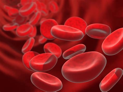 Scientists Have Found a Way to Create Artificial Red Blood Cells - RateMDs Health News