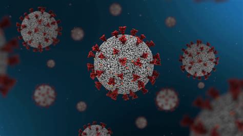 Coronavirus Covid-19 close-up under a microscope. 3d render. Motion ...