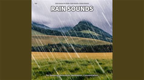 Rain Sounds, Pt. 51 - YouTube