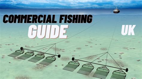 Commercial fishing methods in the UK - #Seafishinguk - YouTube