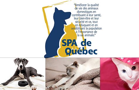 SPA de Québec - L’Association québécoise des SPA et des SPCA : L ...