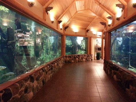 Cabela’s Retail Store - Shopping - 3900 Cabelas Dr - Owatonna, MN - Reviews - Photos - Yelp