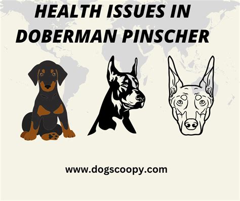 Top Health Issues to Watch Out for in Doberman Pinscher: comprehensive ...