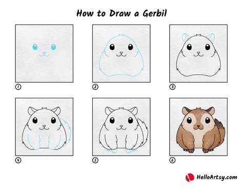 Cute Gerbil Drawing