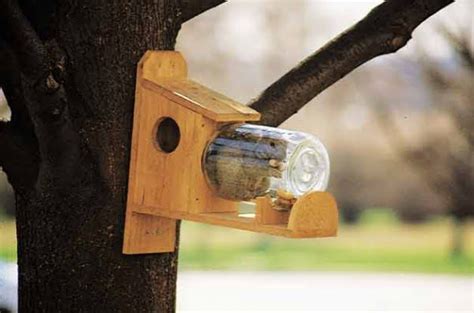 13 Simple DIY Squirrel Feeder Ideas You Will Enjoy Making