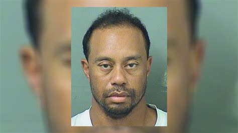 Tiger Woods' mugshot is the defining image of golfer's downfall