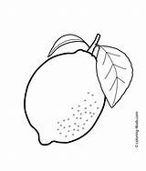 Lemon coloring pages Download And Print For Free sketch template