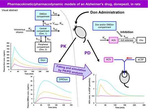 Pharmacokinetic/Pharmacodynamic Models of an Alzheimer’s Drug, Donepezil, in Rats | Drug ...