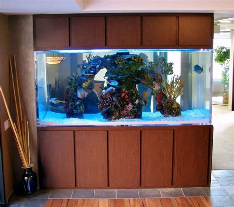 This is a 500 gallon custom aquarium. It's viewable from three sides and houses an artificial ...