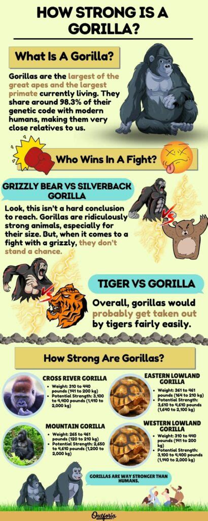 How Strong is a Gorilla? Exploring Their Incredible Strength