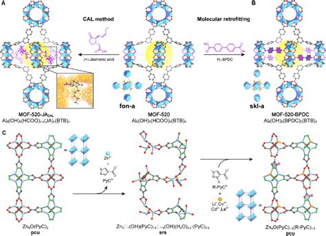 Organometallic–Organic Hybrid Assemblies Featuring The, 48% OFF