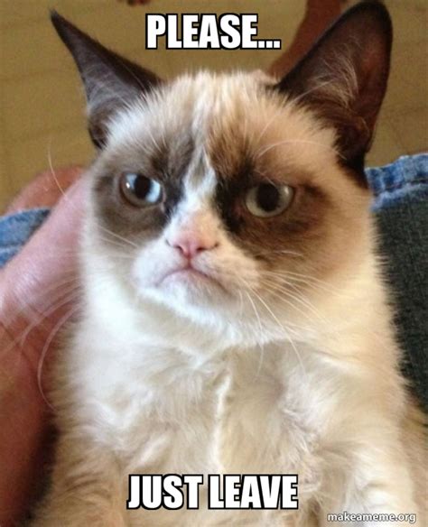 Please... Just Leave - Grumpy Cat Meme Generator