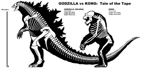 GODZILLA vs KONG Skeletals - Tale of the Tape by JES86 on DeviantArt : r/kingkong