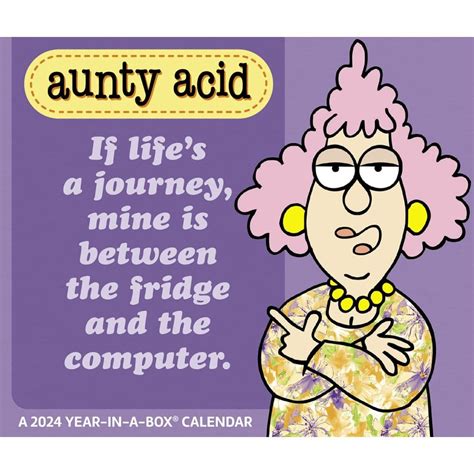 Aunty Acid 2024 Box Calendar - Kayle Mercie