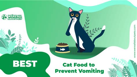 The 9 Best Cat Foods To Prevent Vomiting - We're All About Pets