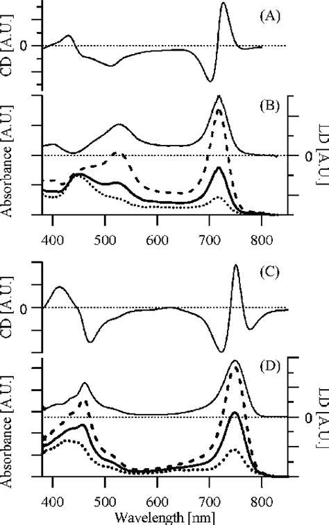 Experimentally obtained circular dichroism (A and C) and linier ...