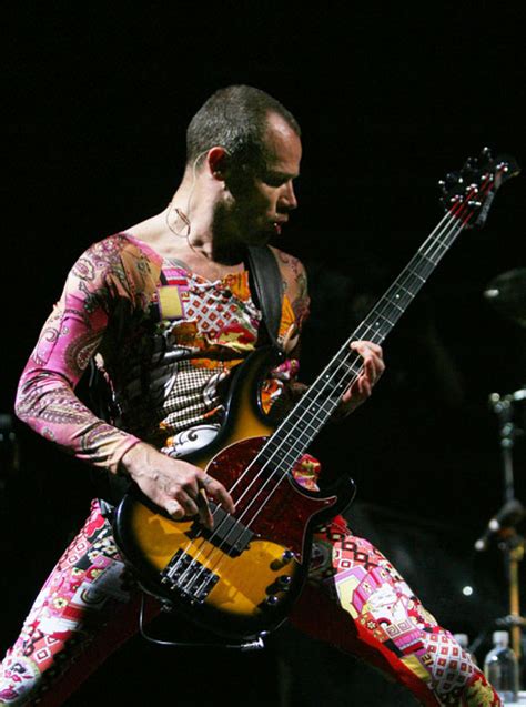 bass flea - nimfomane.com