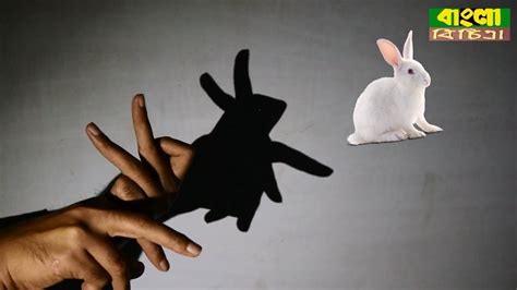 How to make shadow puppets with your hand || Interesting & New Ideas ...