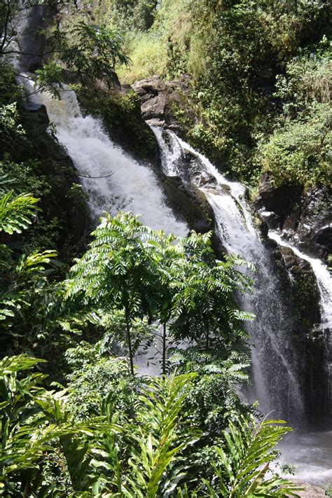 Waterfall on road to Hana, Maui | Road to hana, Maui, Favorite places