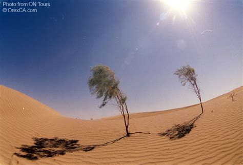 Turkmenistan pictures :: Turkmenistan deserts