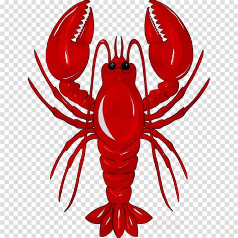 Download High Quality lobster clipart transparent Transparent PNG ...