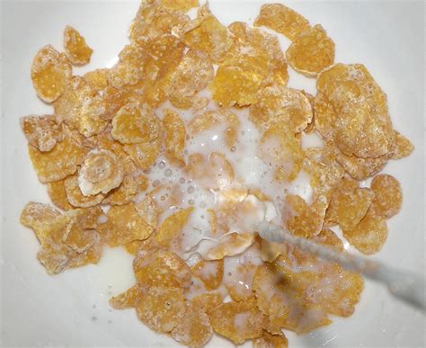 Frosted flakes nutrition facts | General center | SteadyHealth.com