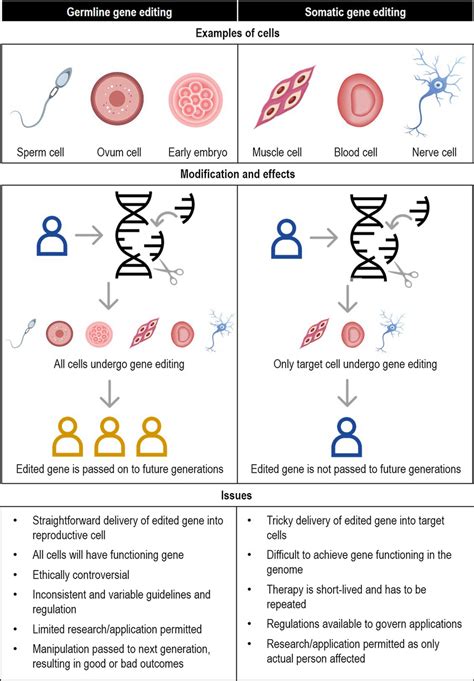 Somatic Gene Therapy