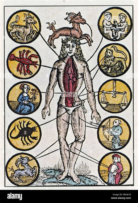 Medical zodiac man -Fotos und -Bildmaterial in hoher Auflösung – Alamy