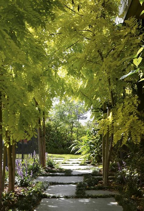 A tranquil garden design in the inner-city with country appeal | Garden design, Amazing gardens ...