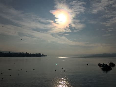 Lake Zurich | Lake zurich, Lake, Nature