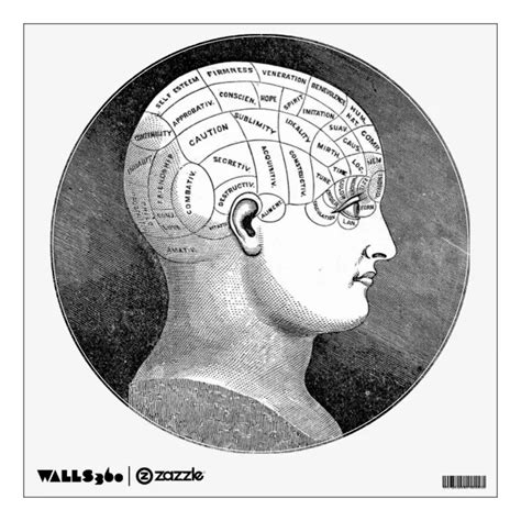 Phrenology Head Diagram Wall Sticker | Zazzle