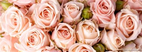 Pink Roses Close Up Facebook Cover Photo