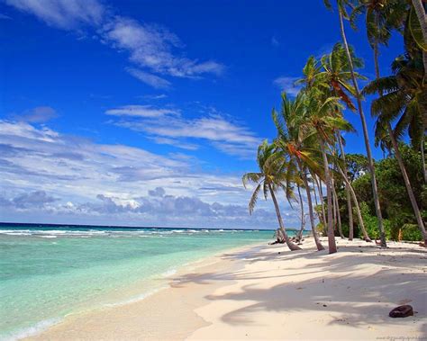 Sunny Day on a Beautiful Deserted Beach | hd wallpapers