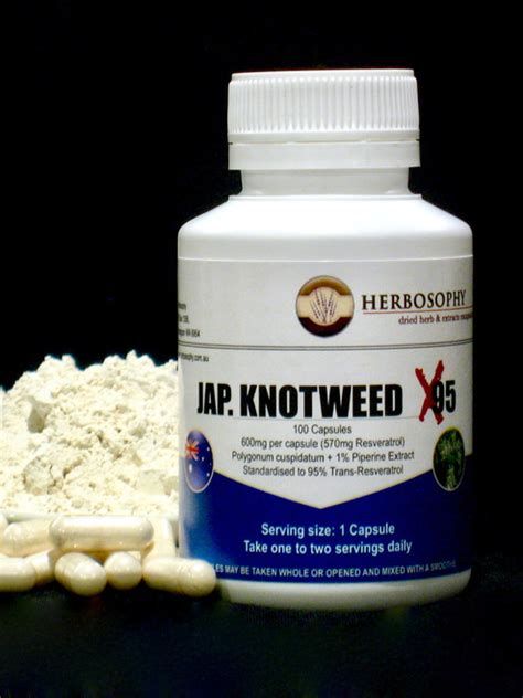 Buy Jap. Knotweed X95 (95% Trans-Resveratrol) Australia | 129.5 | 100 Caps | Herbosophy