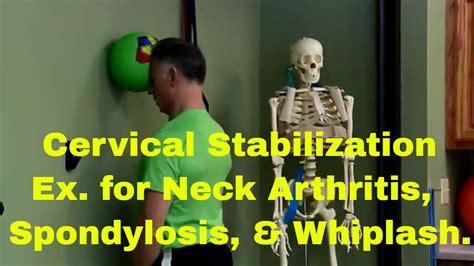 Spinal Stabilization Exercises | lupon.gov.ph