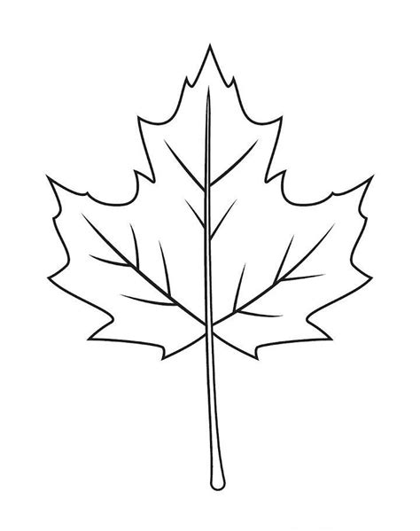 15 Easy Fall Leaf Drawing Ideas - Fall Leaves Drawing