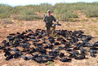 Crow Busters - Beginner Article - Hunting with a Living Legend