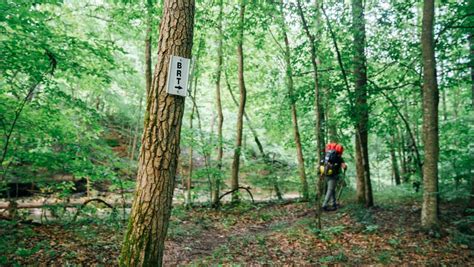 Hike the Buffalo River Trail | Buffalo Outdoor Center