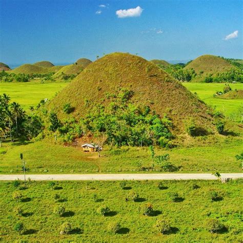 Chocolate Hills, Bohol, Philippines. A geological marvel, limestone hills that turn chocolate ...