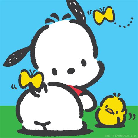 Pochacco Looney Tunes Wallpaper, Sanrio Wallpaper, Kawaii Wallpaper, Hello Kitty Characters ...